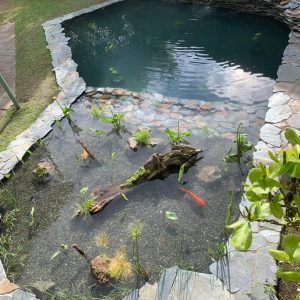 PISCINA NATURAL PREMIUM (VALOR m2)