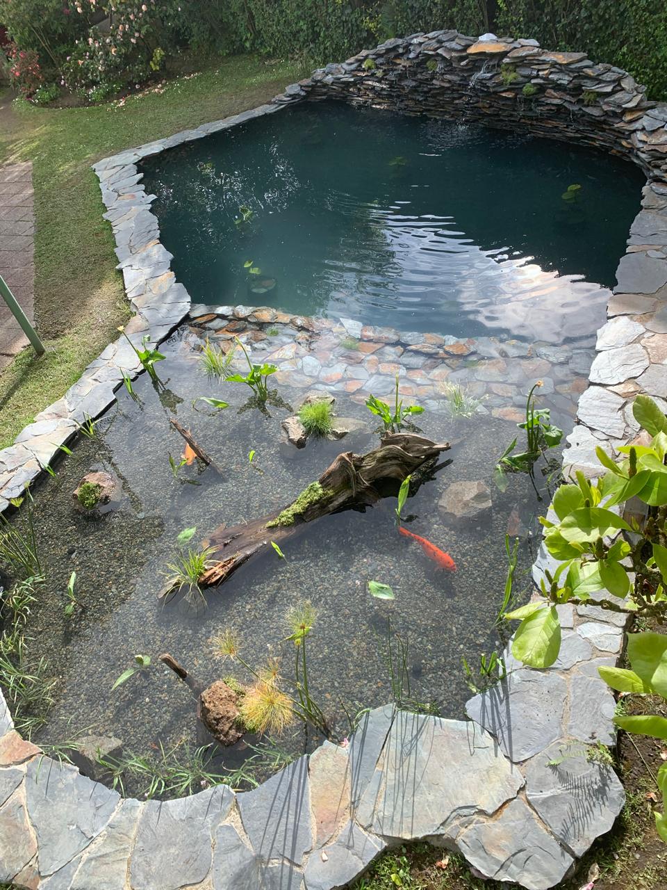 PISCINA NATURAL PREMIUM (VALOR m2)