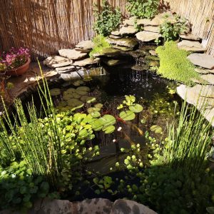 ESTANQUE ORNAMENTAL 2500 LITROS