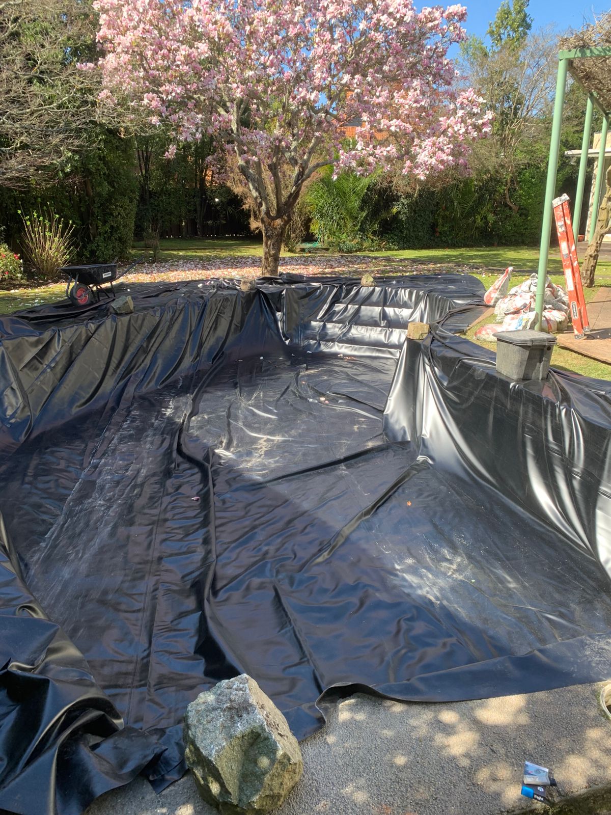 PISCINA NATURAL PREMIUM (VALOR m2) - Imagen 8