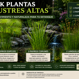 PACK PLANTAS ACUÁTICAS PALUSTRES ALTAS