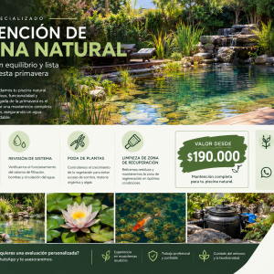 MANTENCION PISCINA NATURAL
