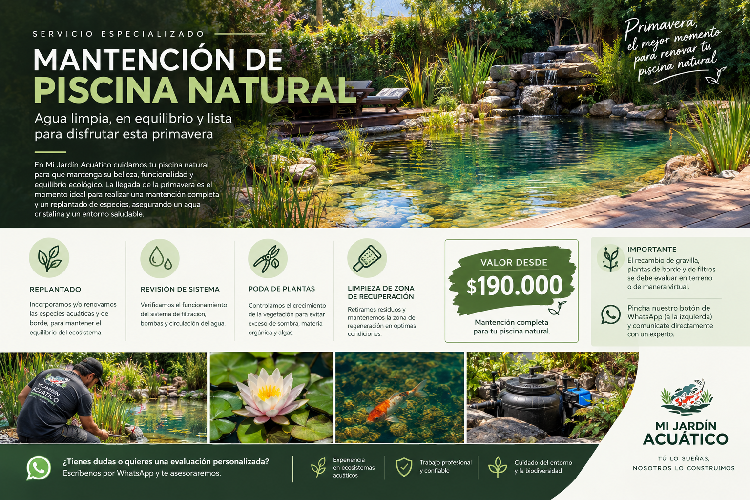 MANTENCION PISCINA NATURAL